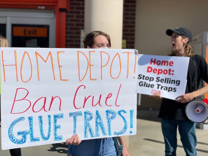 Protesters outside a Home Depot with a sign reading 'Home Depot, Ban cruel glue traps!